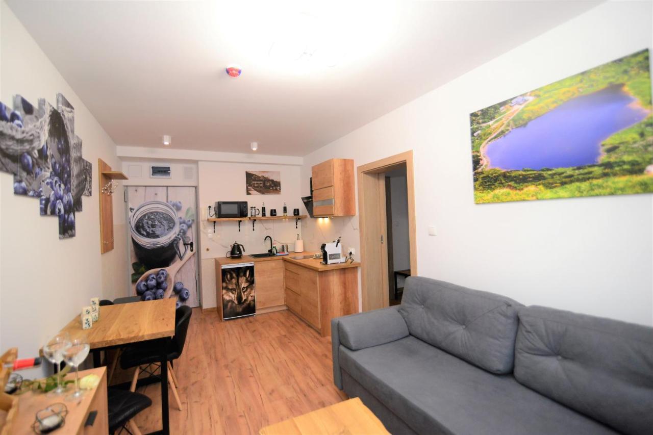 Apartament De Luxe Emily Карпач Екстер'єр фото